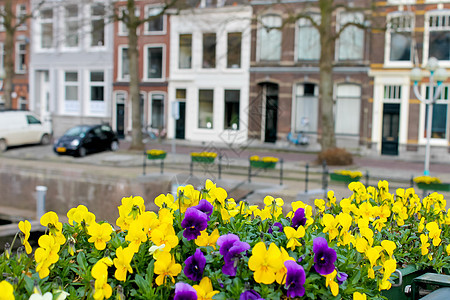 荷兰Gorinchem街头的鲜花财产遗产街道自行车旅游城市历史建筑旅行观光图片