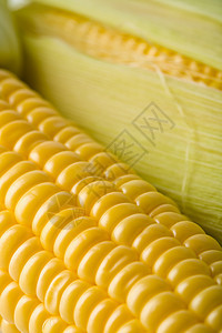 新鲜玉米玉米的宏观收成叶子内核玉米芯食物厨房糖类蔬菜饮食市场图片