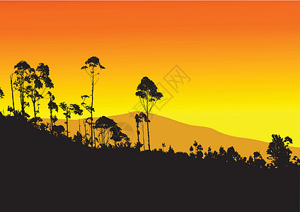 具有山地背景的热带热带树太阳顶峰植物橙子天空森林农村荒野丛林场地图片
