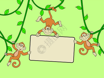 带空白符号的猴子黑猩猩尾巴荒野公告微笑野生动物漫画吉祥物叶子乐趣图片