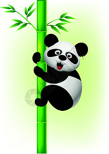 熊猫攀爬树图片