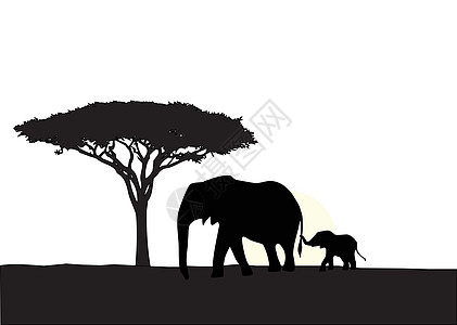 非洲大象 有婴儿背影图片