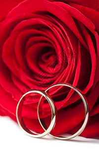 金金婚环和红玫瑰 隔离首饰新娘幸福花瓣夫妻联盟仪式庆典裙子婚姻图片