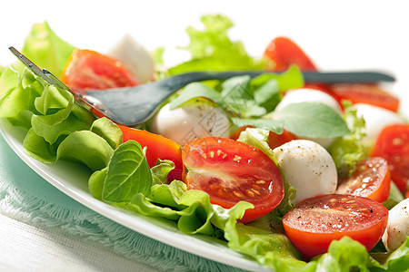 配有番茄沙拉和马扎里拉盘子叶子桌子午餐小吃沙拉服务蔬菜食物饮食图片