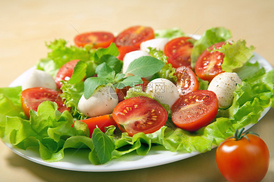 配有番茄沙拉和马扎里拉蔬菜餐厅服务饮食食物维生素盘子午餐美食沙拉图片
