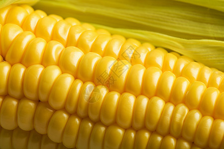 新鲜玉米的宏观叶子核心食物蔬菜烹饪粮食健康植物收成玉米芯图片