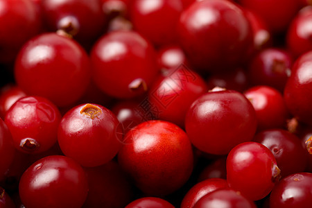 红红蓝莓背景季节荒野水果甜点框架蔬菜浆果饮食营养红宝石图片