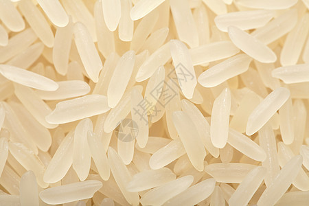 生稻背景白色美食食谱文化国际营养食物谷物种子黄色图片