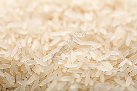 生稻背景黄色烹饪植物种子白色食谱抛光宏观谷物食物图片