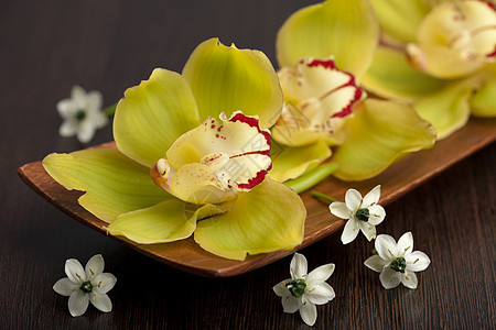 木碗中的兰花花装饰盘子风格异国黄色绿色芳香治疗温泉草本图片