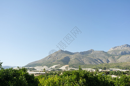 内地白卡州柠檬种植园绿色山脉场地树林阳光树木橙子农业图片