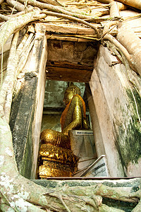 佛在寺庙里宗教旅行城市景观建筑学文化历史佛教徒精神连体图片