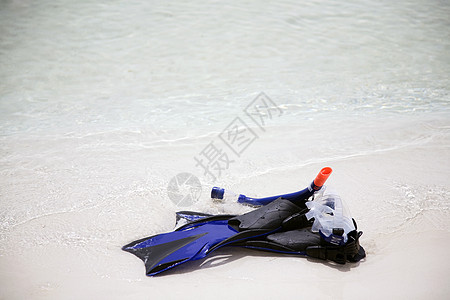 海滩上潜水设备乐趣娱乐面具运动塑料呼吸管脚蹼休闲游泳海洋图片
