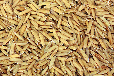 稻田大米食物粮食收成主食栽培棕色培育植物宏观种子背景图片