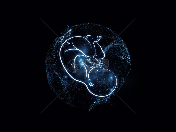 象形儿童蓝色子宫孩子胎位分娩胎儿婴儿插图胚胎胎盘图片