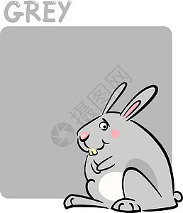 颜色灰色和兔子刻画图片