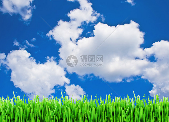 夏季背景蓝色植物天气草地小麦地平线天空乡村环境城市图片