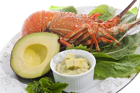 龙虾和鳄梨酱甲壳饮食动物柠檬营养南瓜美食香菜图片