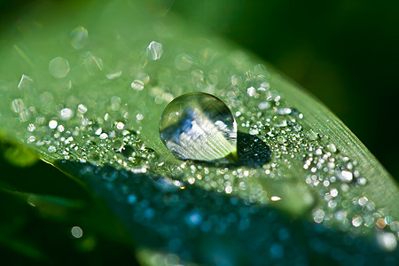 露美丽水滴蓝色环境圆圈宏观天气植物涟漪玻璃图片