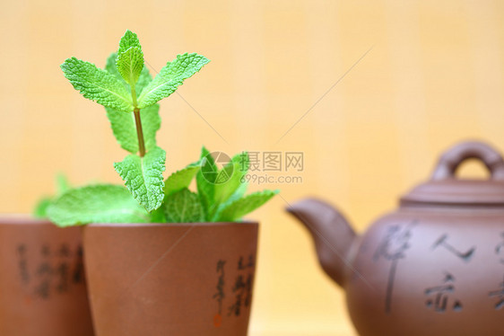 薄荷茶玻璃叶子工作室文化食物美食英语草本植物茶点竹子图片
