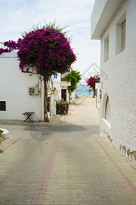 安达卢西亚村村庄建筑学街道白色住宅粉饰图片