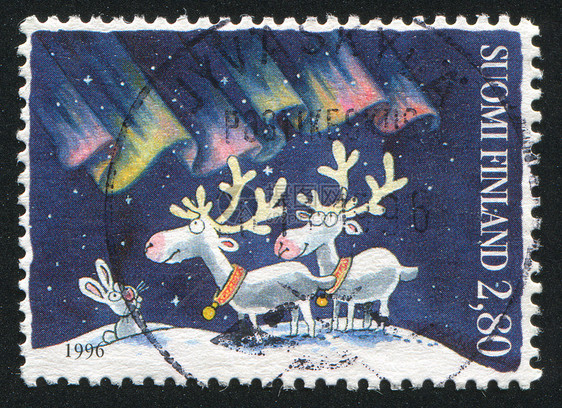 北极光鹿角海豹雪花动物雪堆天空邮戳降雪驯鹿鼻子图片