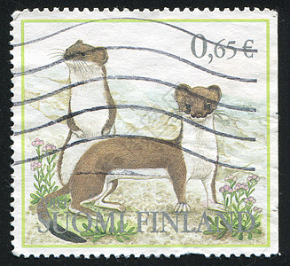 口头食肉邮件信封明信片邮票植物哺乳动物动物动物群尾巴图片