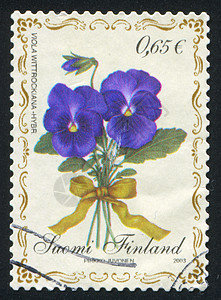 花朵集邮植物群邮资植物历史性信封丝带邮戳花瓣紫色图片