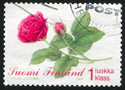 玫瑰海豹红色花瓣集邮古董植物植物群邮件邮票邮戳图片