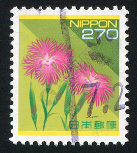 粉色按钮植物群历史性邮资邮戳明信片古董信封绿色植物象形图片