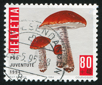 蘑菇明信片邮资荒野信封历史性邮件菌类蔬菜邮戳集邮图片
