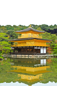 日本京都金宫寺庙金殿观光历史性宝塔池塘游客松树明信片吸引力森林遗产图片