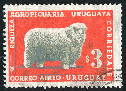 联系拉姆生物学邮票集邮哺乳动物信封土地蹄子毛皮生物古董图片