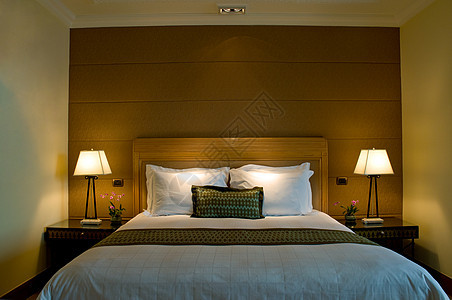 优雅五星酒店的卧室松树丝绸亚麻装潢墙纸床头板羽毛精英边缘山毛榉图片