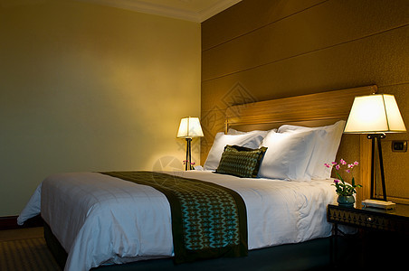 优雅五星酒店的卧室床头板质量边缘织物奢华软垫装饰品棉布兰花山毛榉图片