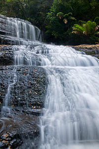 深森林的瀑布热带跑步植被公吨木头溪流环境天堂旅行石头图片