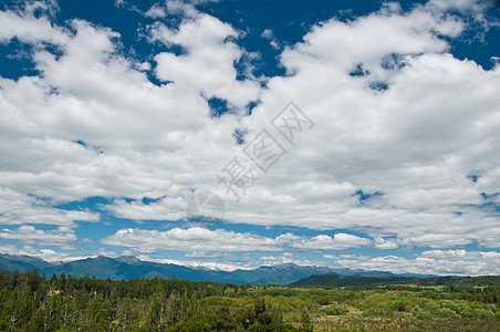 在荒野上方的云层天空植物生态灌木木头叶子场景山脉旅行野生动物衬套图片