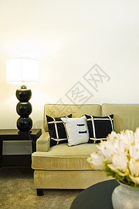 当代沙发座位面积木头风格休息室休息地面设计师住宅装饰靠垫奢华图片
