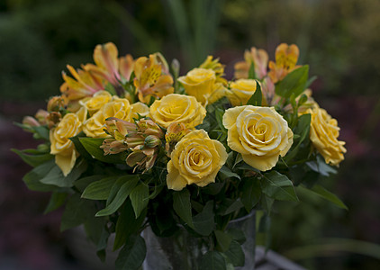 黄玫瑰玫瑰花瓶绿色叶子玻璃花束预设花朵生长图片