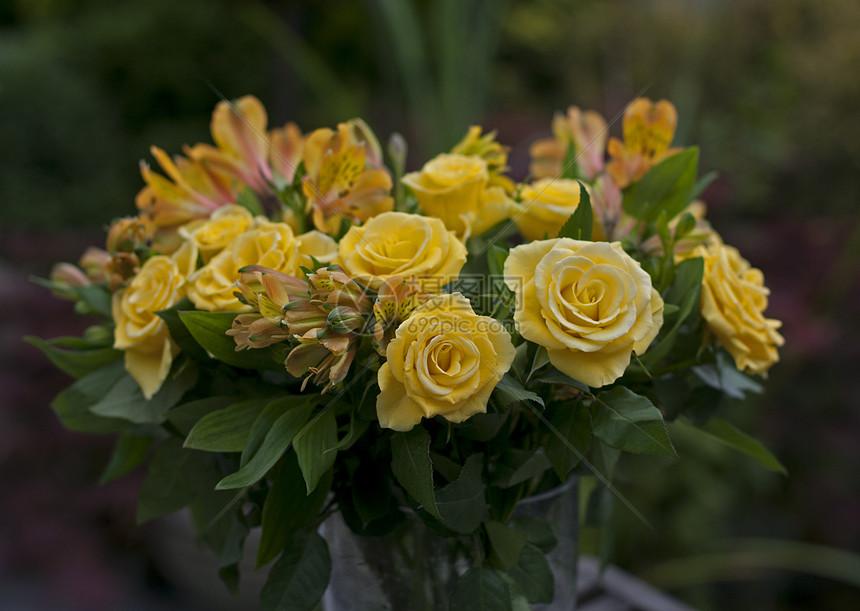 黄玫瑰玫瑰花瓶绿色叶子玻璃花束预设花朵生长图片