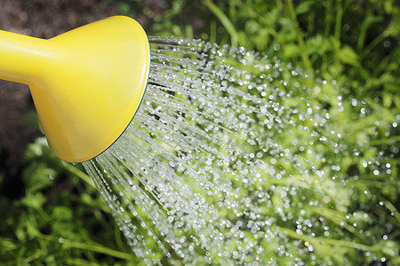 供水花园喷壶园艺细流黄色水滴飞沫背景图片