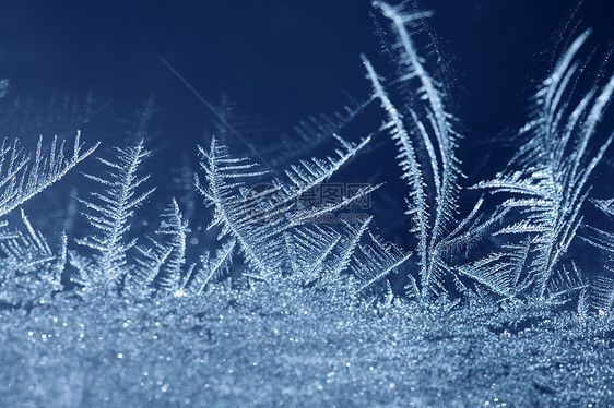 冰雪水晶冻结图片