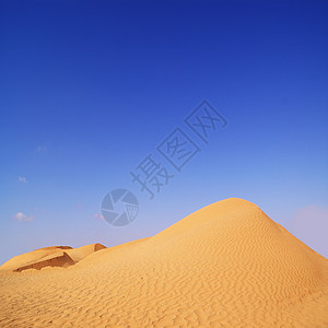 沙漠中夏日的夏日图片
