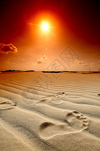 沙漠足迹印刷波纹干旱沙丘孤独探险家假期脚步声时间冒险图片
