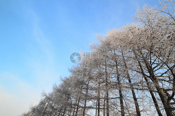 雪雪田阳光白色天空雪原场地蓝色季节图片