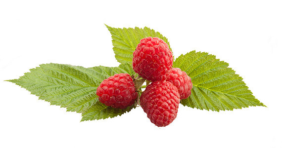 红草莓活力覆盆子水果叶子果味甜点绿色食物白色红色图片