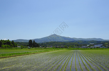 希默卡米山和牧区景观图片