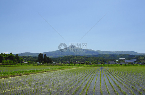 希默卡米山和牧区景观图片