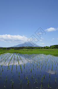 伊瓦特山和牧区景观场地国家村庄农场绿色天空田园蓝色蓝天背景图片