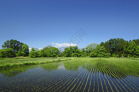 伊瓦特山和牧区景观国家村庄农场蓝色蓝天场地田园天空绿色图片